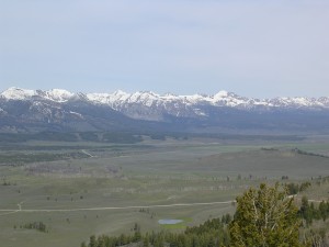 Sawtooth Valley 