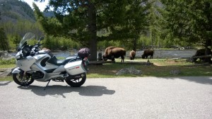 Beemer and Bison