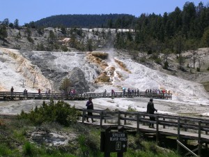 Mammoth Hot Springs