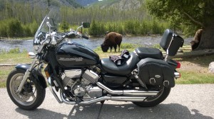 Bike and Bison