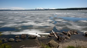 Ice Floes on Yellowstone Lake