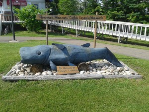 The Catfish of Floodwood